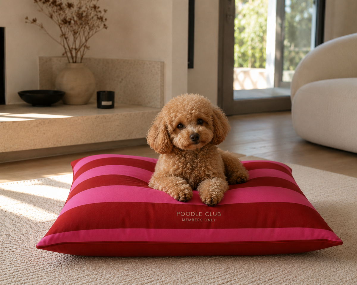 Le Beddo | Hundebett