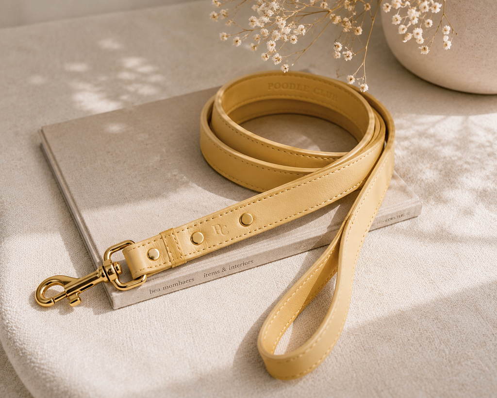 Belle Époque Hundeleine Butter Yellow – Poodle Club echtes Leder aus Italien