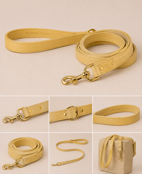 Belle Époque Set | Halsband & Leine - Butter Yellow