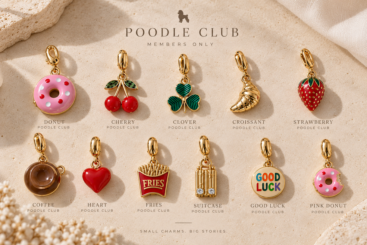 FARBIGE CHARMS | Charm