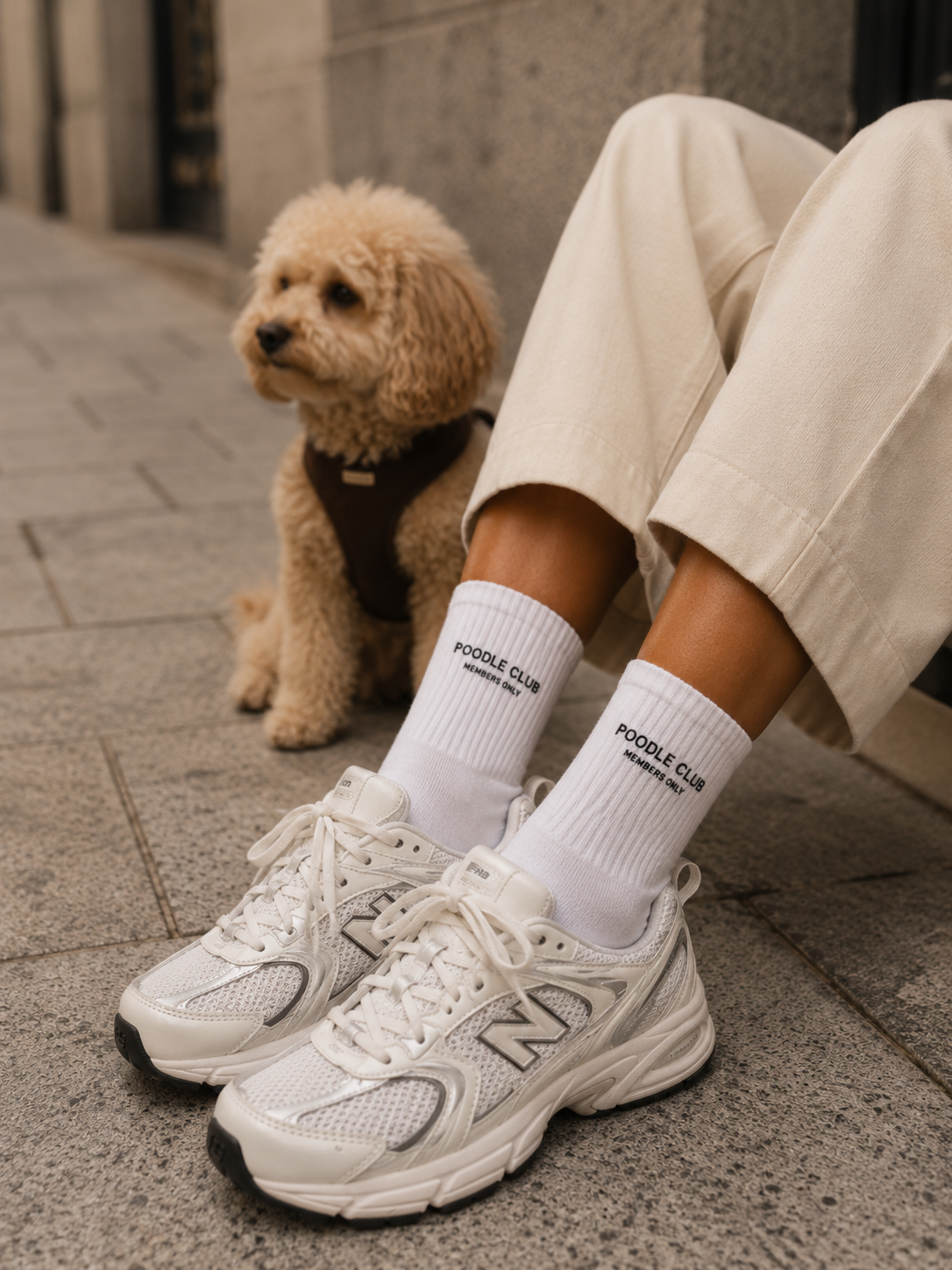 Poodle Club Socken Unisex in Weiß – Detailansicht