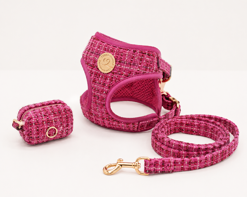 Chloé | Geschirr