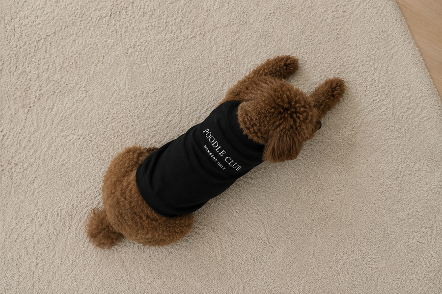 Hunde