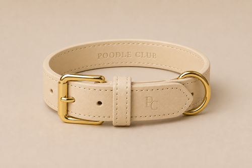 Belle Époque Hundehalsband Beige – Poodle Club echtes Leder Frontansicht