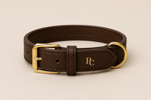 Belle Époque Hundehalsband Braun – Poodle Club echtes Leder Frontansicht