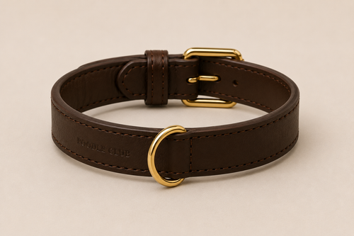 Belle Époque Hundehalsband Braun – Poodle Club Detailansicht