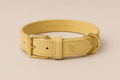Belle Époque Hundehalsband Butter Yellow – Poodle Club echtes Leder Frontansicht