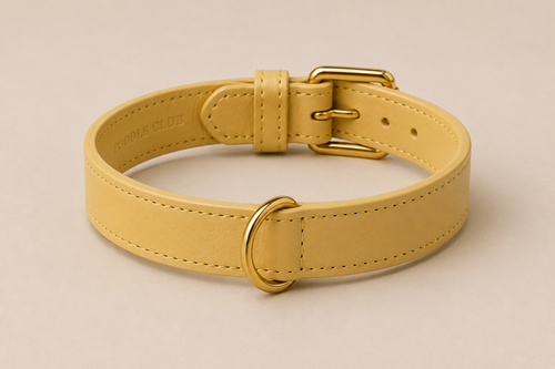 Belle Époque Hundehalsband Butter Yellow – Poodle Club Detailansicht