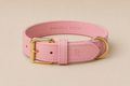 Belle Époque Hundehalsband Rosé – Poodle Club echtes Leder Frontansicht