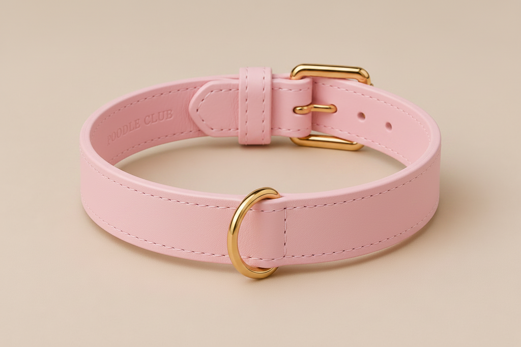 Belle Époque Hundehalsband Rosé – Poodle Club Detailansicht