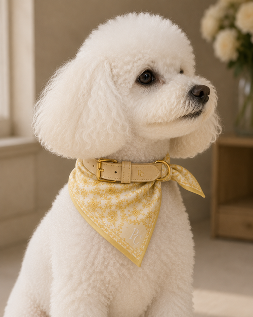 Belle Époque Hundehalstuch Butter Yellow – Poodle Club Detailansicht