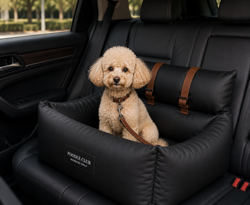 Le Trône Hundeautositz Schwarz – Poodle Club Detailansicht veganes Leder